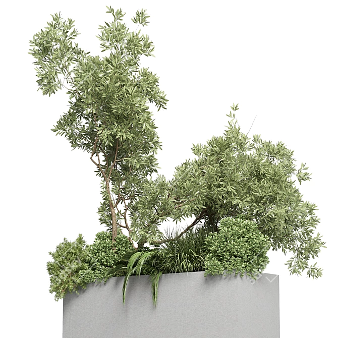 Outdoor Plant Collection: 36 Pot Bush Grass, Tree & Palm in Concrete Vases 3D model image 2