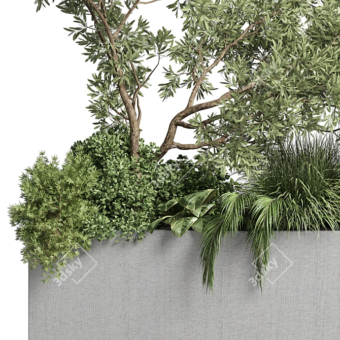 Outdoor Plant Collection: 36 Pot Bush Grass, Tree & Palm in Concrete Vases 3D model image 3
