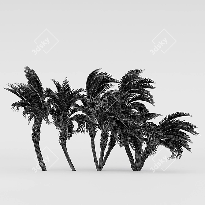 Curly Palm: Lifelike 3D Tree 3D model image 3