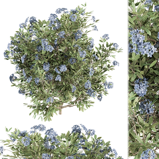 Blue Blossom Set - Set of 31 Bushes 3D model image 1