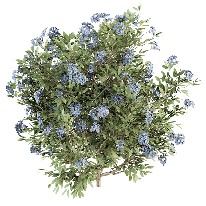 Blue Blossom Set - Set of 31 Bushes 3D model image 2