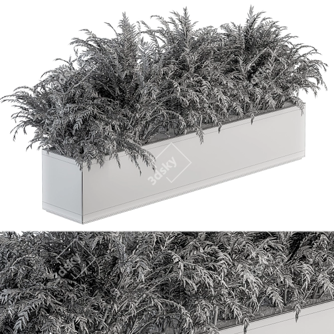 Polypodiales Plant Box Set: Outdoor Beauty 3D model image 4