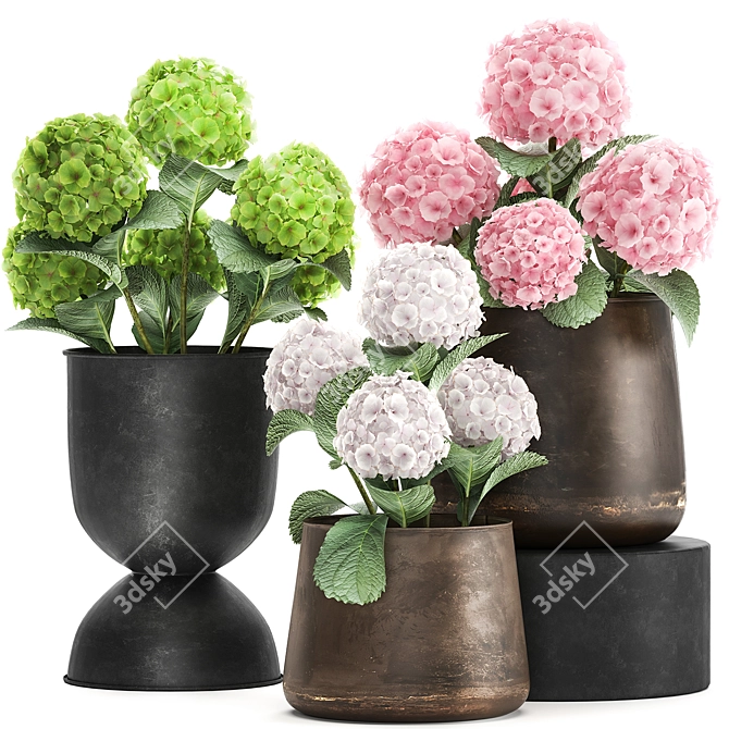 Metallic Flora Collection 3D model image 1