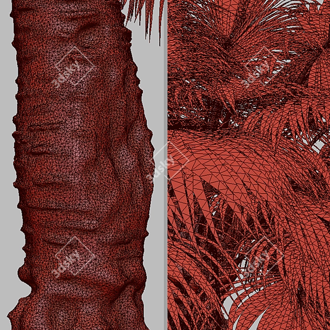 Blue Hesper Palm Delight - Set of 2 3D model image 5