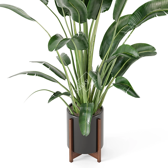 Indoor Oasis: Wooden Pot Plant Set 3D model image 4