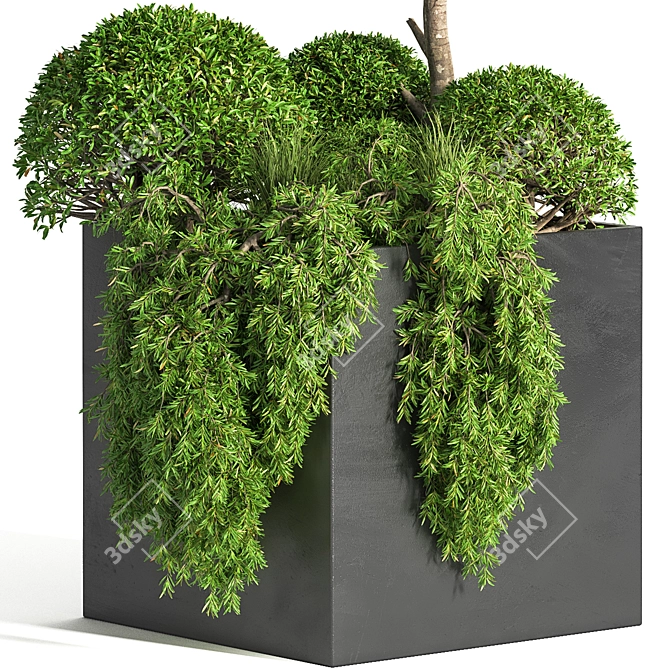 Outdoor Oasis: Elegant 16" Tree 3D model image 2