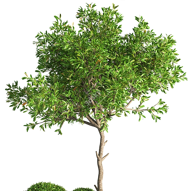 Outdoor Oasis: Elegant 16" Tree 3D model image 3