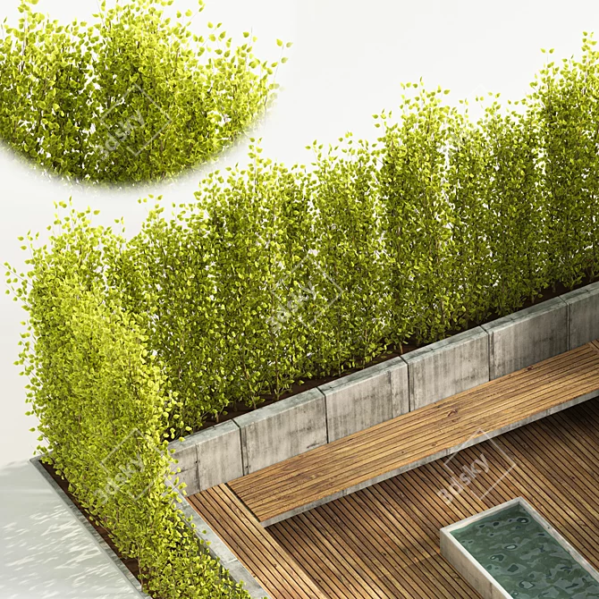 Outdoor Oasis: Backyard and Landscape 3D model image 3