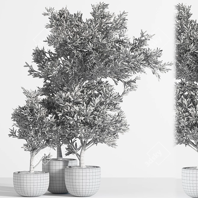 Versatile Outdoor Plant Set 3D model image 5