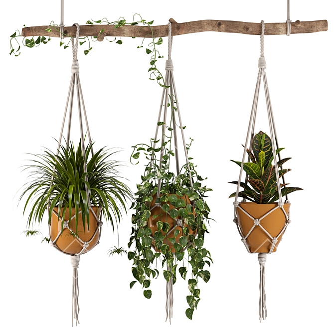 Macrame Hanging Plants Set 3D model image 1