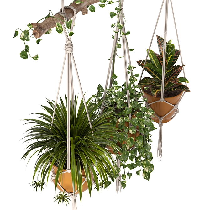 Macrame Hanging Plants Set 3D model image 2