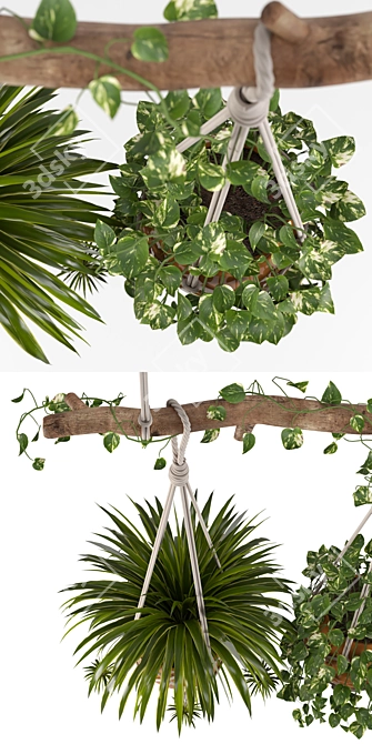 Macrame Hanging Plants Set 3D model image 3