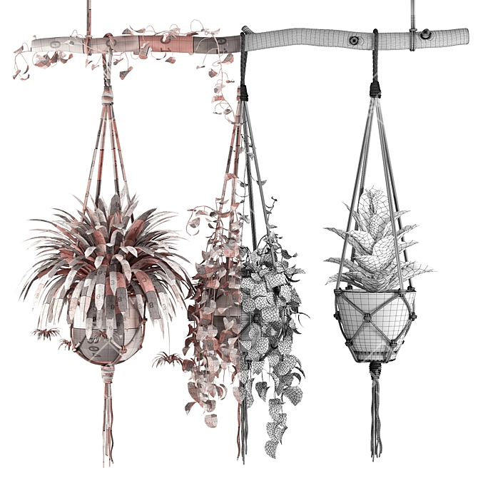 Macrame Hanging Plants Set 3D model image 7