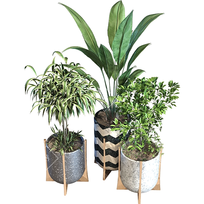 Minimalist Plant Box Set 089 3D model image 4