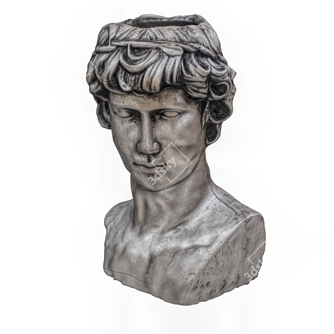 Sculpted Head: 32,006 Polygons 3D model image 1