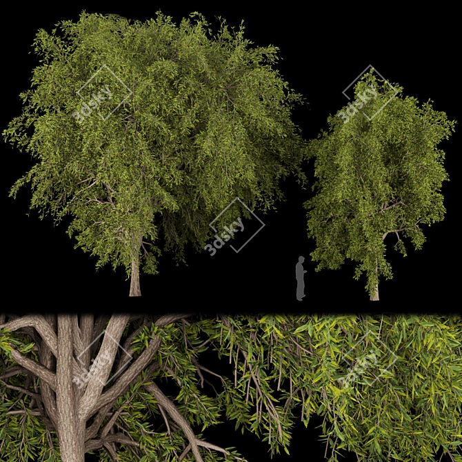 Premium Plant Collection: Volume 219 3D model image 1