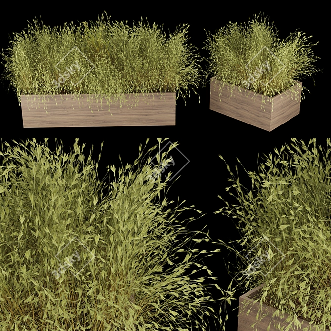 Premium Plant Collection Vol. 223 3D model image 1