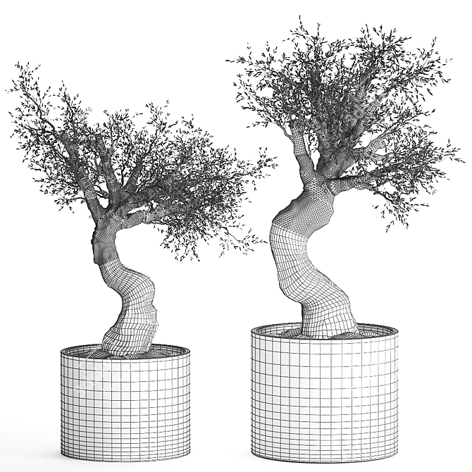 Exotic Olive Tree in Rusty Vase - Plant Collection 989 3D model image 6