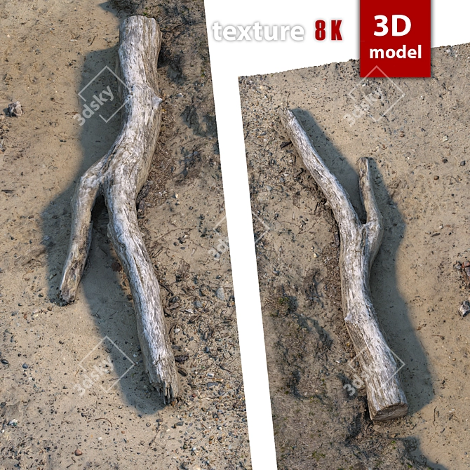 Detailed 3D Tree Model with High-resolution Texture 3D model image 3