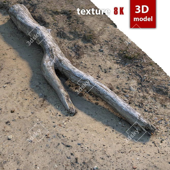 Detailed 3D Tree Model with High-resolution Texture 3D model image 5