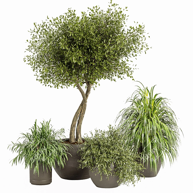 3D Plants Collection 03: Realistic and Detailed 3D model image 1