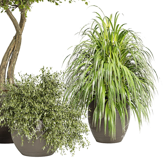 3D Plants Collection 03: Realistic and Detailed 3D model image 2