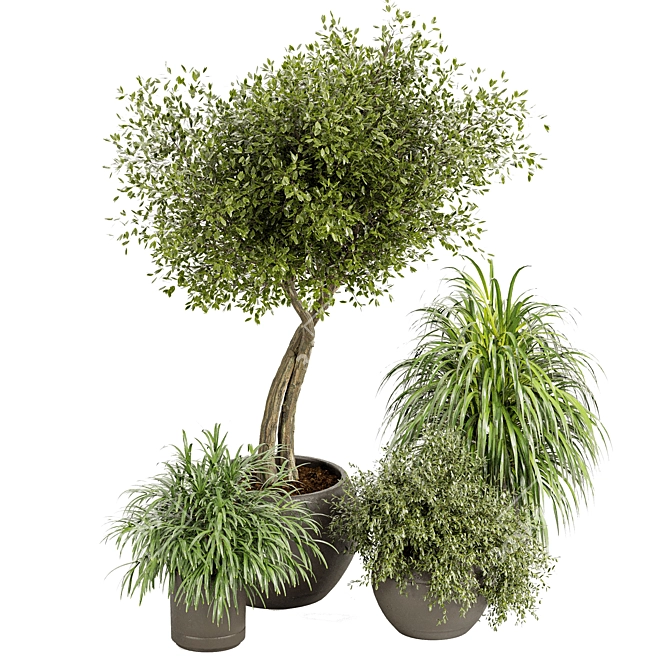 3D Plants Collection 03: Realistic and Detailed 3D model image 3