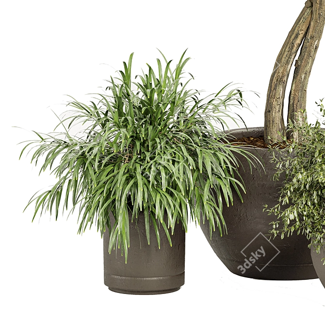 3D Plants Collection 03: Realistic and Detailed 3D model image 4