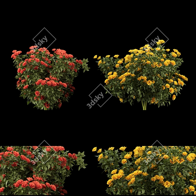 Floral Beauty Collection: Vibrant Flowering Bushes 3D model image 1