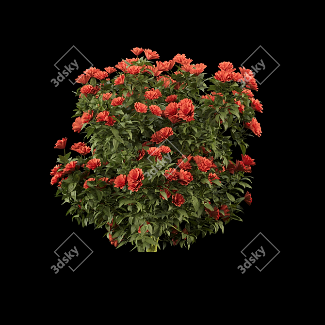 Floral Beauty Collection: Vibrant Flowering Bushes 3D model image 2