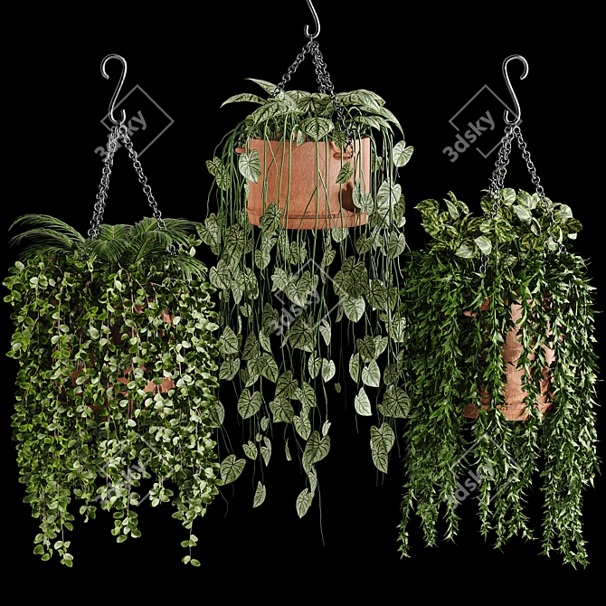 Evergreen Oasis: Hanging Plant Collection 3D model image 1