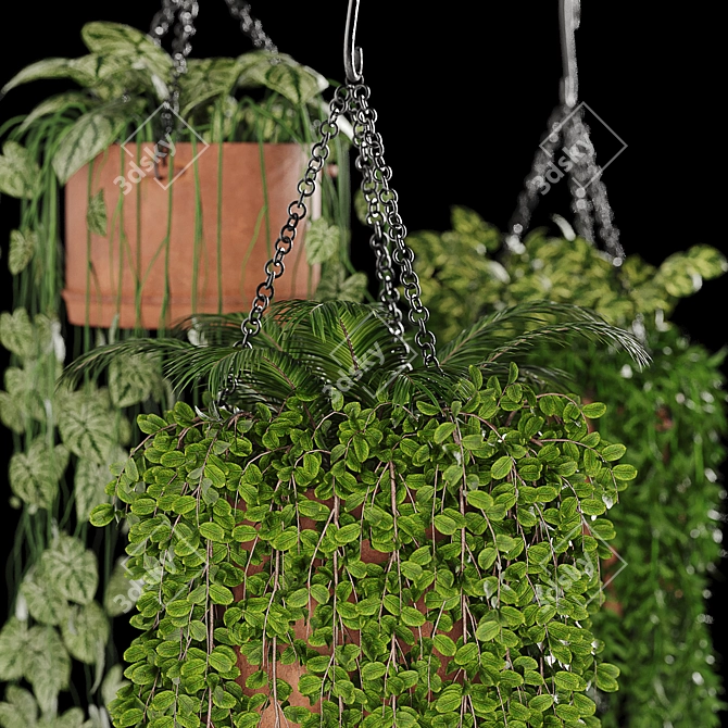 Evergreen Oasis: Hanging Plant Collection 3D model image 2