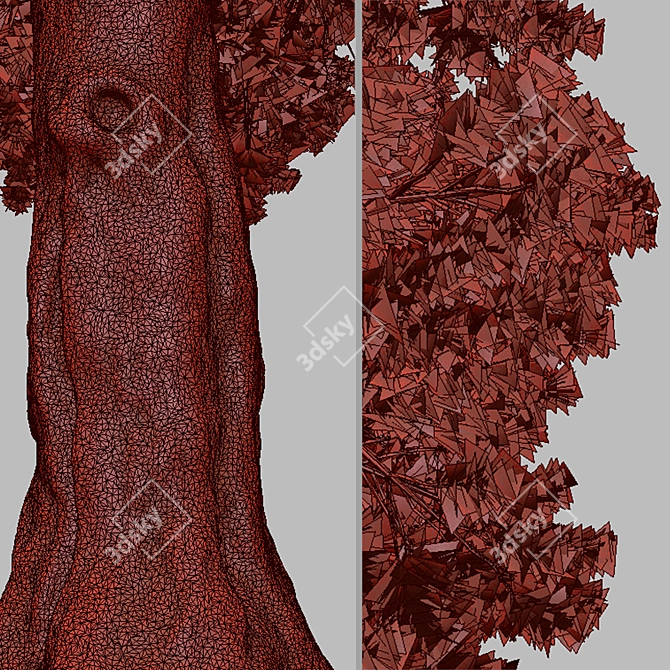 Rare Foxtail Pine Set (2 Trees) 3D model image 5