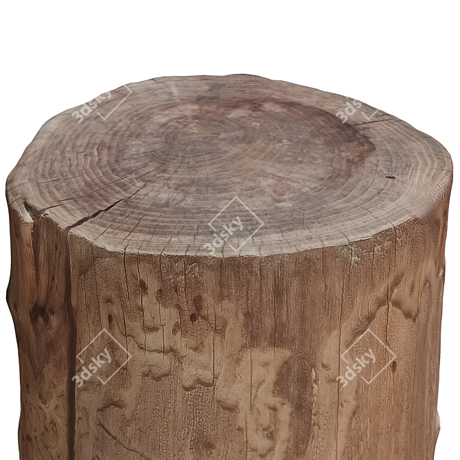 Natural Wood Tree Trunk Décor 3D model image 2