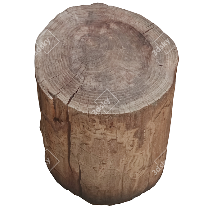 Natural Wood Tree Trunk Décor 3D model image 3