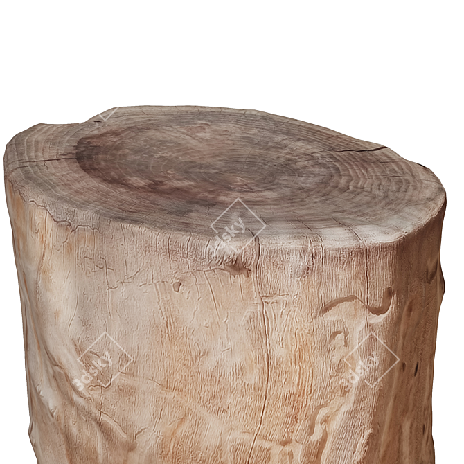 Natural Wood Tree Trunk Décor 3D model image 4