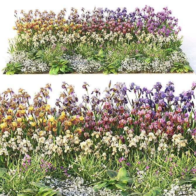 Flower Garden Oasis 3D model image 10