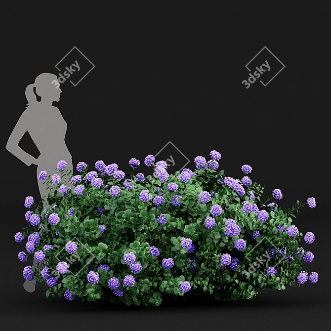 Huge Variety Bigleaf Hydrangeas in 4 Beautiful Colors 3D model image 4