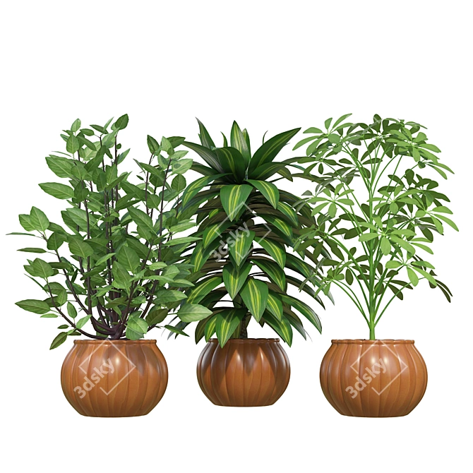 Designer Indoor Plants Collection 3D model image 1