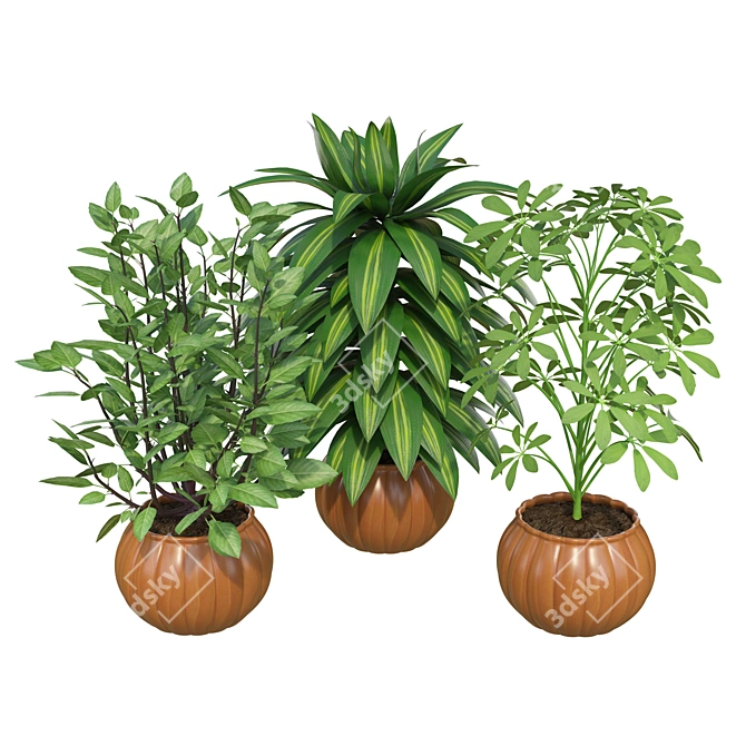 Designer Indoor Plants Collection 3D model image 2
