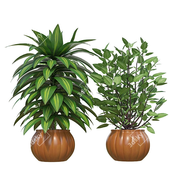 Designer Indoor Plants Collection 3D model image 4