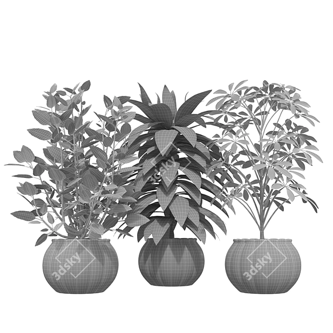 Designer Indoor Plants Collection 3D model image 5