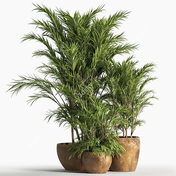 Elegant Indoor Plant Set 3D model image 1