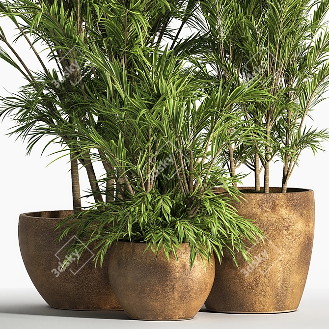 Elegant Indoor Plant Set 3D model image 2