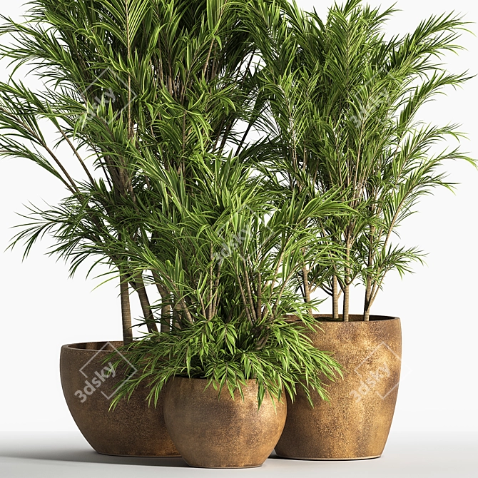 Elegant Indoor Plant Set 3D model image 3