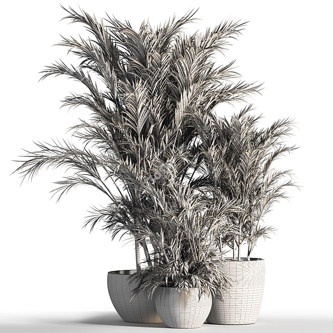 Elegant Indoor Plant Set 3D model image 5