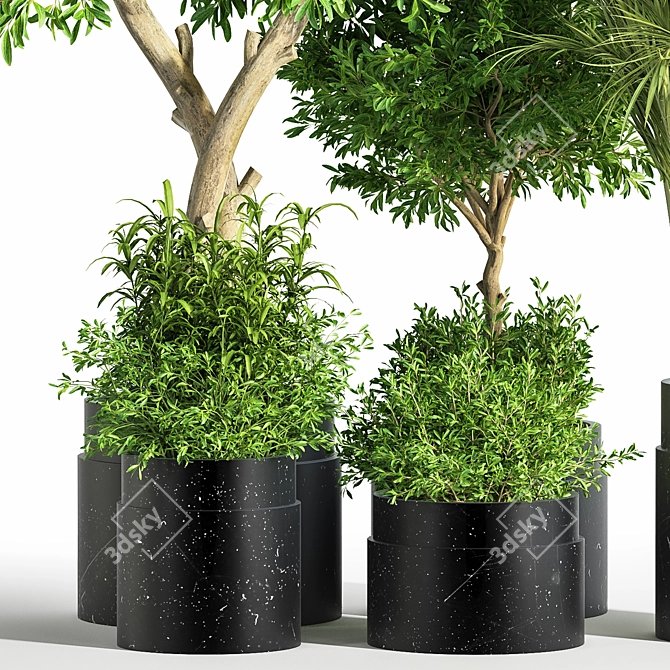 Green Oasis Indoor Plant Set 3D model image 2