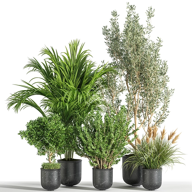 Green Oasis Indoor Plant Set 3D model image 1