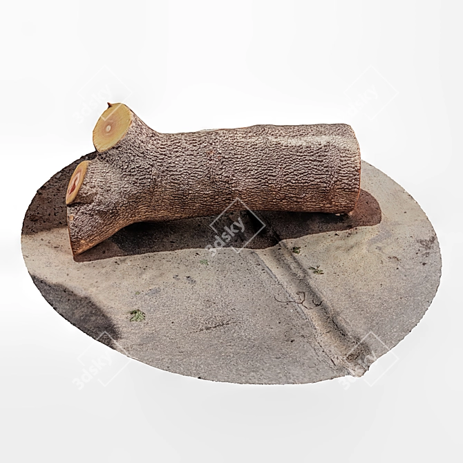 Rustic Tree Trunk Decor 3D model image 1