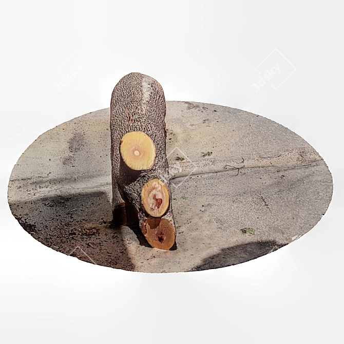 Rustic Tree Trunk Decor 3D model image 4